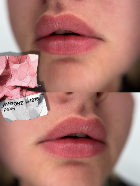 Farbauswahl Lippenpigmentierung Permanent Make-up Frankfurt